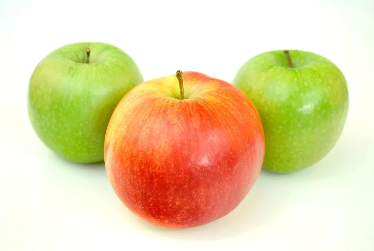 gesunde ernährung 2025: tipps für einen ausgewogenen speiseplan