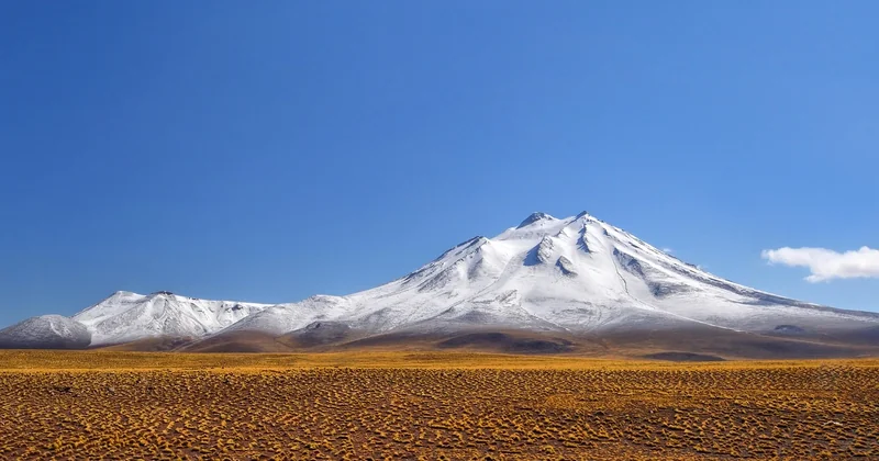 Welche Sprache spricht man in Argentinien und Chile?