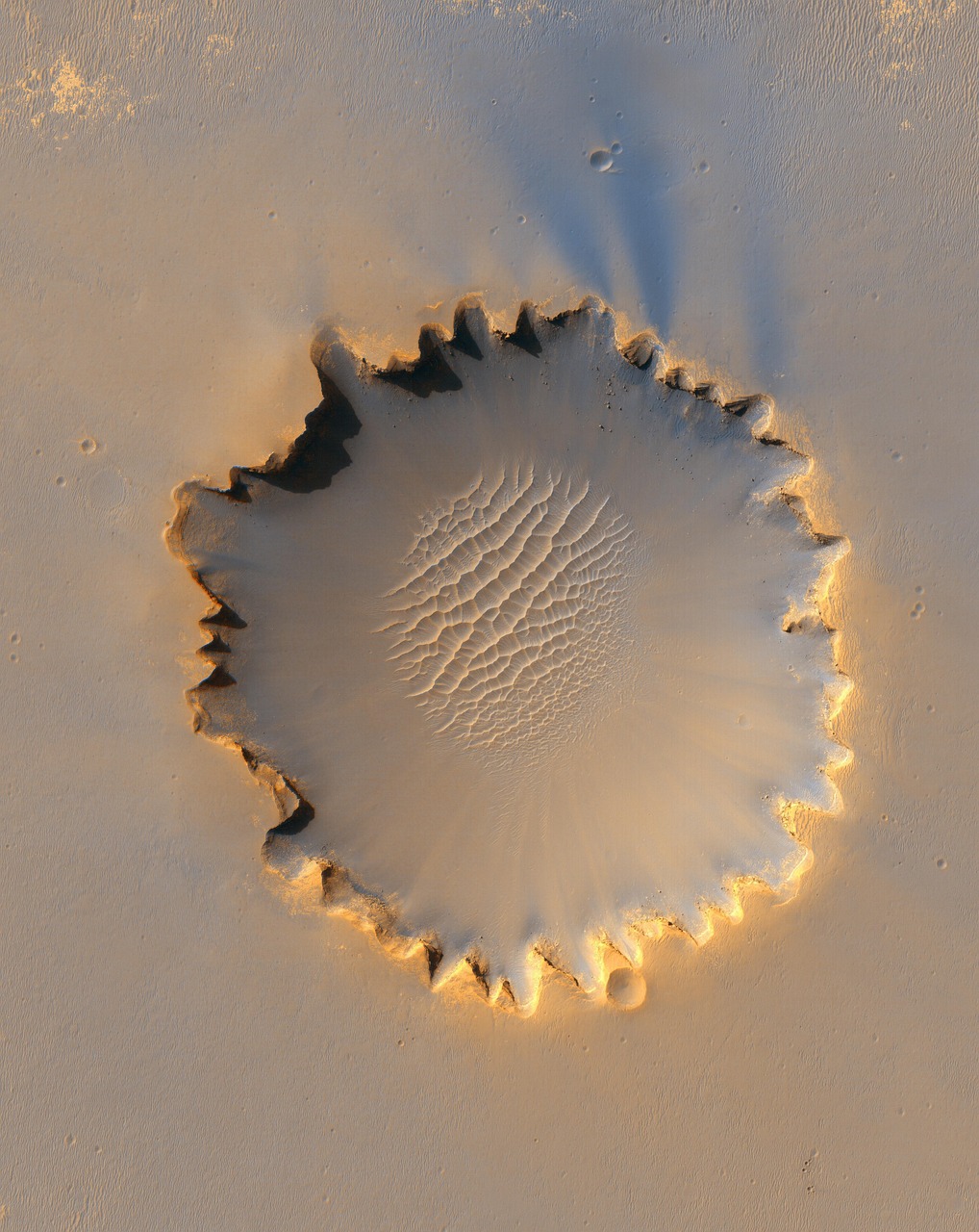 entdecken sie die wichtigsten umweltfolgen und ihre auswirkungen auf unsere welt. erfahren sie mehr über ursachen, lösungen und nachhaltige ansätze zum schutz unserer umwelt.